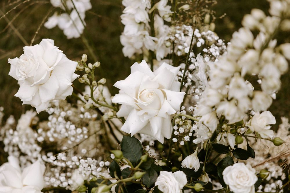 Delicate white roses and baby's breath arranged in an elegant floral display.