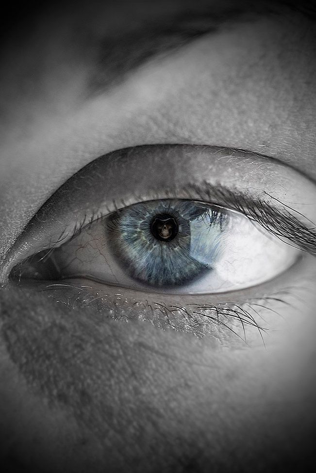 macro eye photo