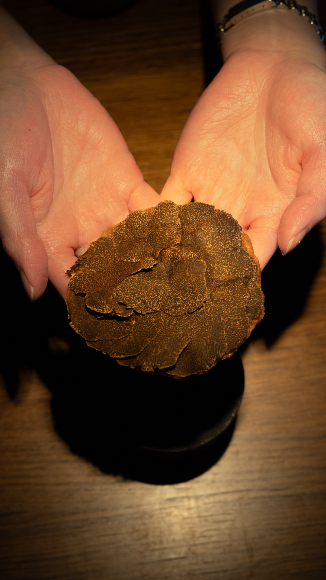 A closeup view of a fresh black truffle being held in cupped hands.