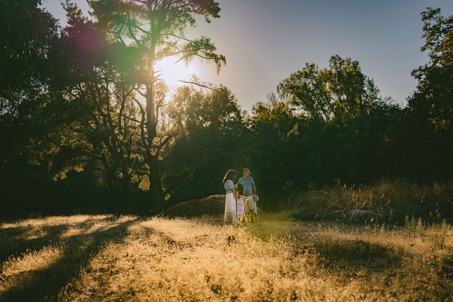 Couple walks hand in hand through sunlit forest clearing at sunset.