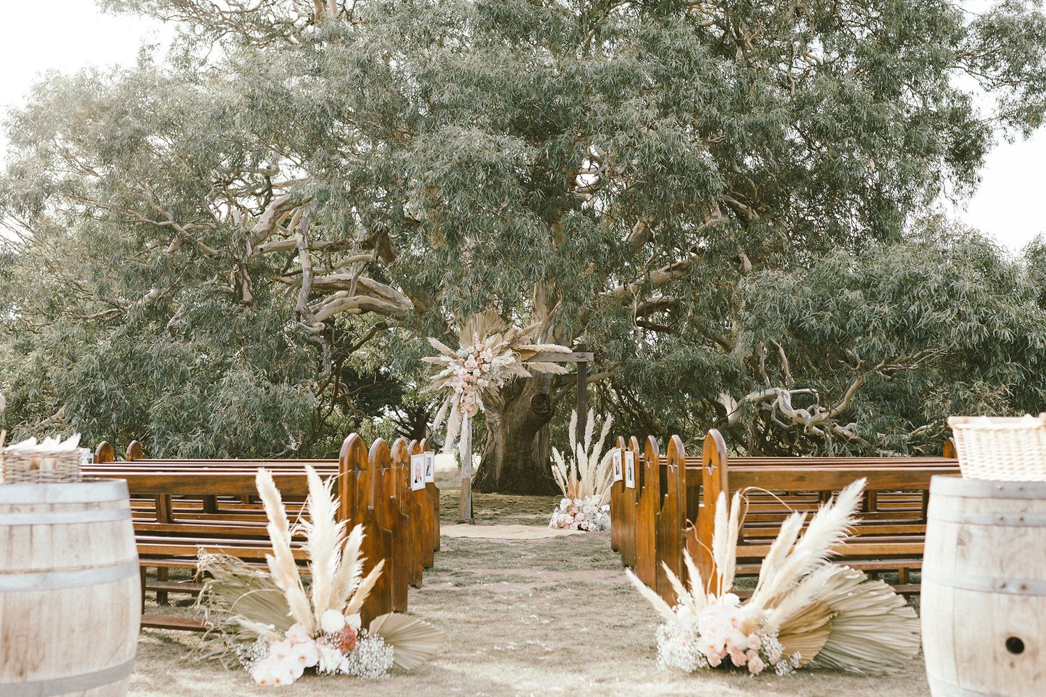 Outdoor wedding ceremony setup with wooden chairs under eucalyptus trees.