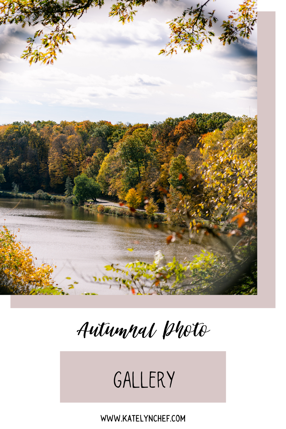 fall foliage