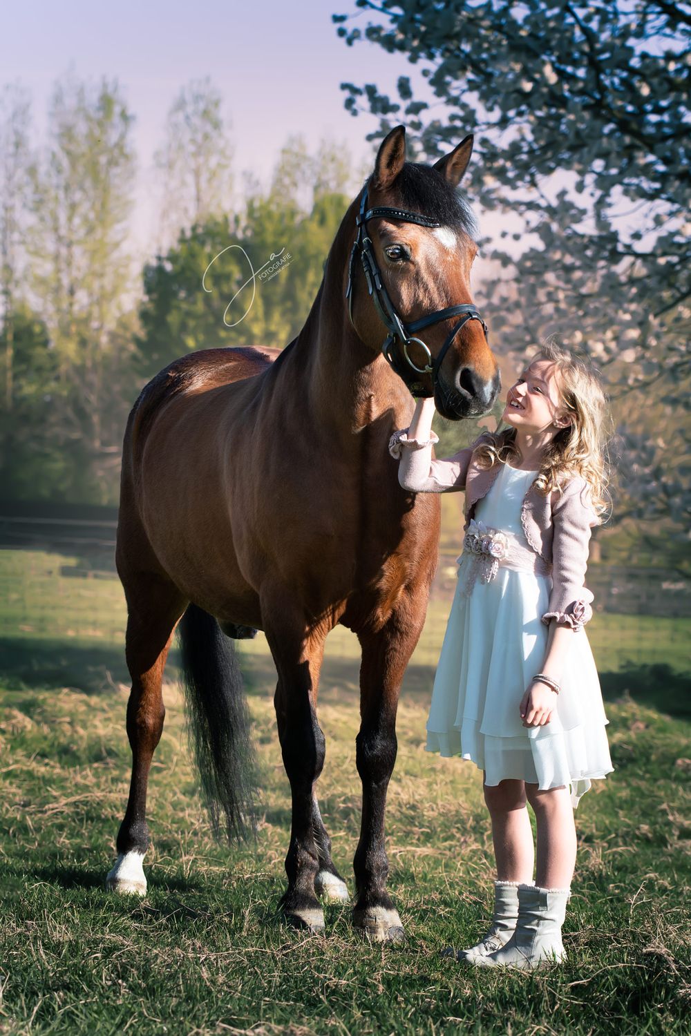 Paardenfotografie België  portret van paard en kind in de weide voor een communieshoot JA Fotografie