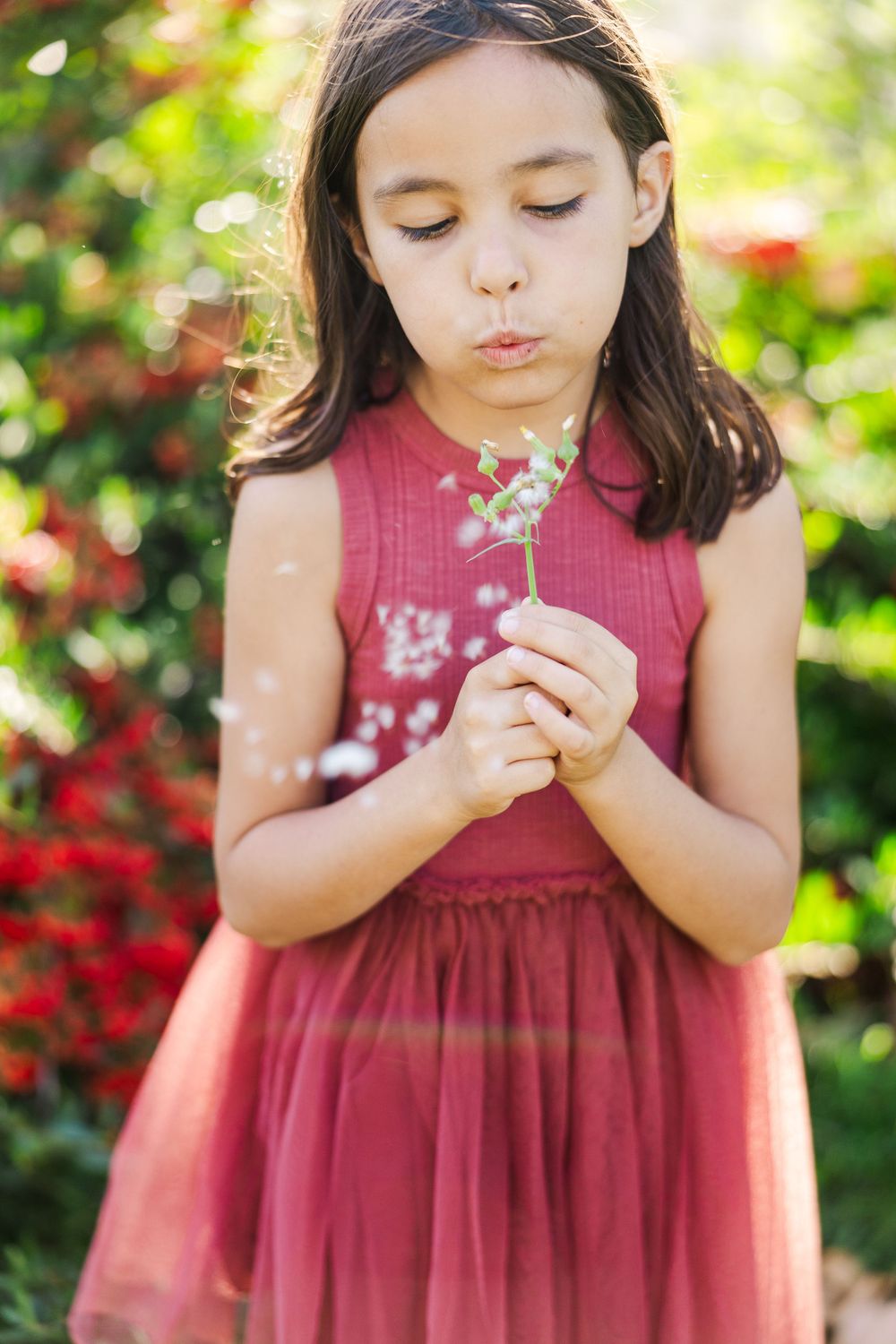Professional family portraits in Simi Valley, Natural light photographer, Fun family photographer, best family photographer in Simi Valley