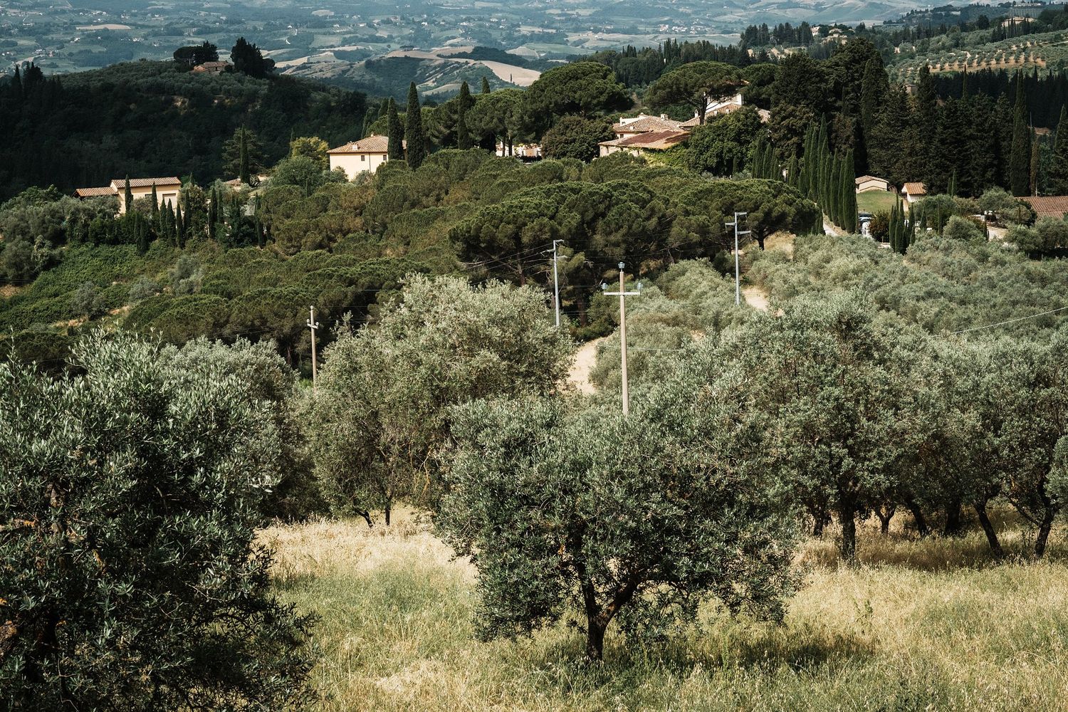 TLOOK photographe de mariage de style documentaire, Tenuta Di Sticciano en Toscane préparatifs de la mariée vue sur les oliviers