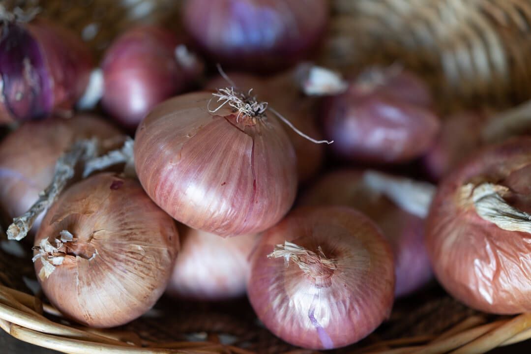 Cipolle di Sardegna