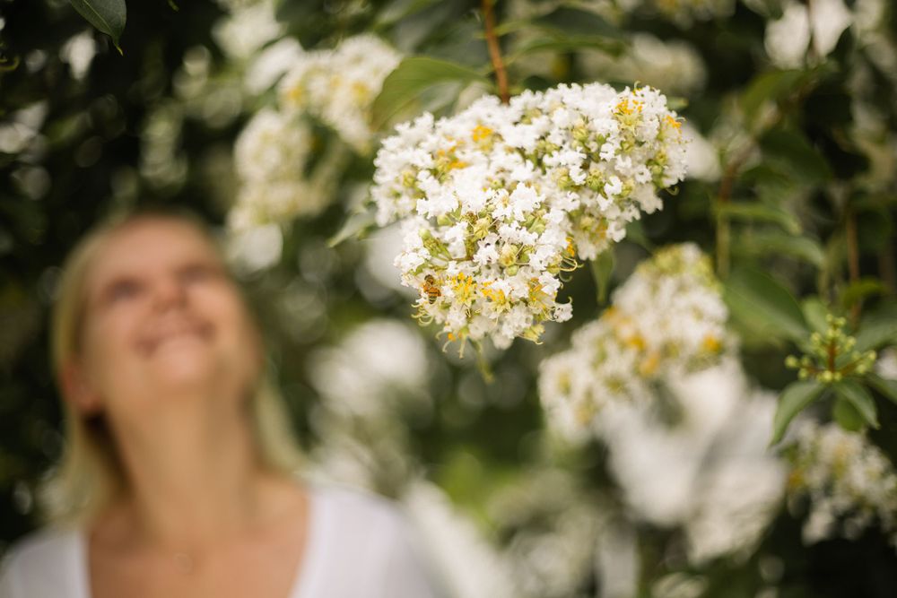 Artistic photo focused on white flowers with blurred subject laughing in background.