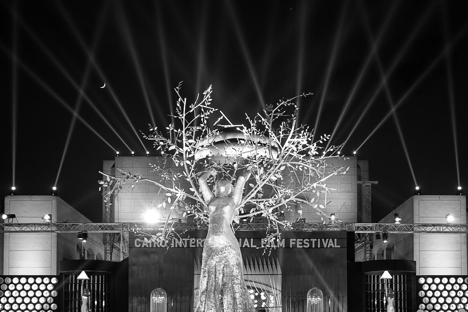 film festival photographer in dubai