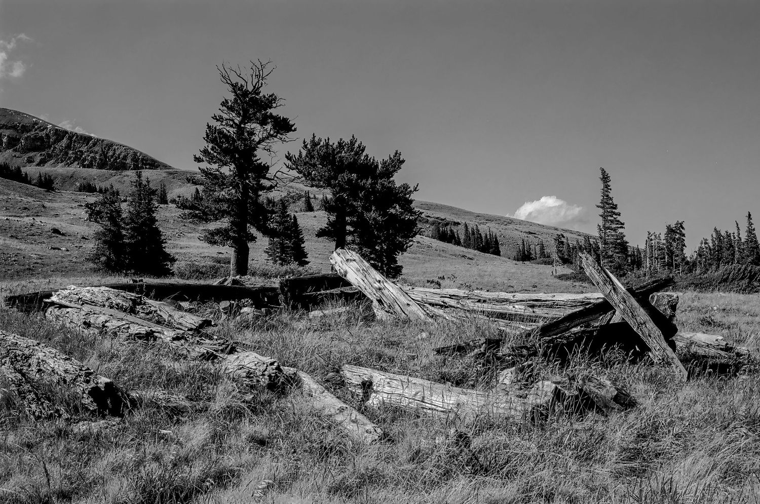 Boreas Station, Colorado