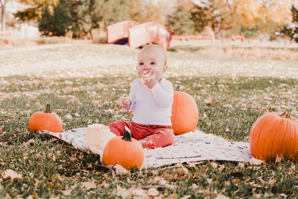 Baby sitting among fall pumpkins during autumn photo session.