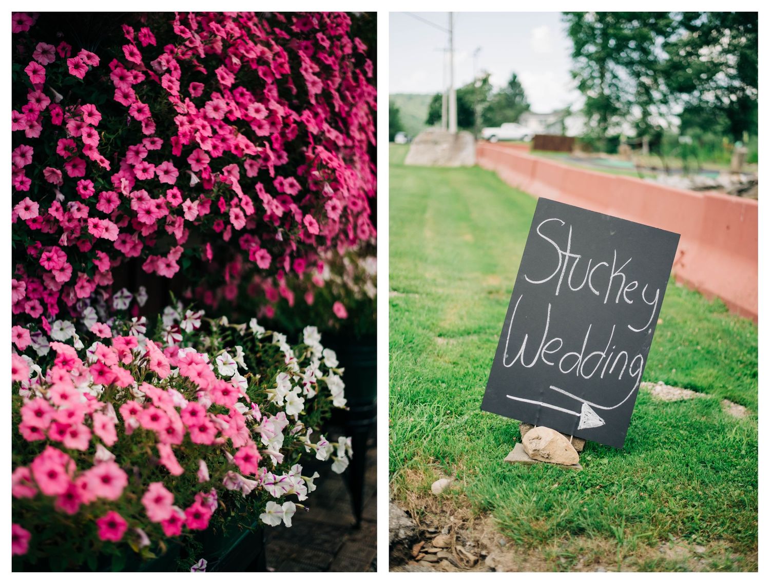 collage of pink flowers, sign by the road for the wedding