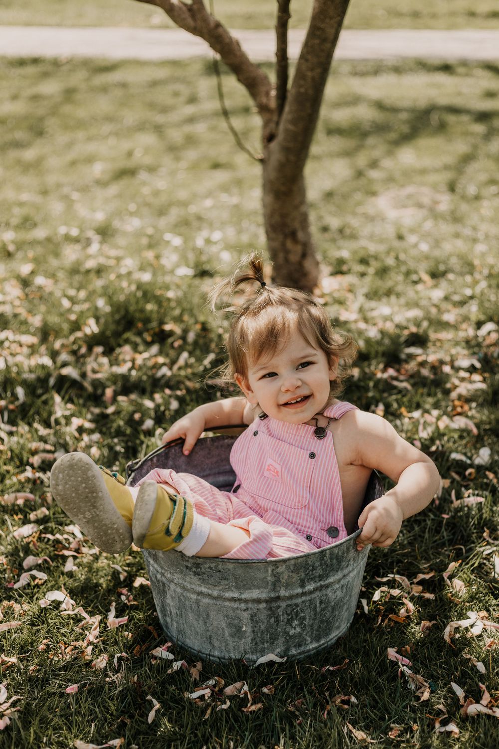 Family Photography, Shelter Gardens, Children Portraits, Columbia Missouri Photographer, Mid-Missouri Photographer