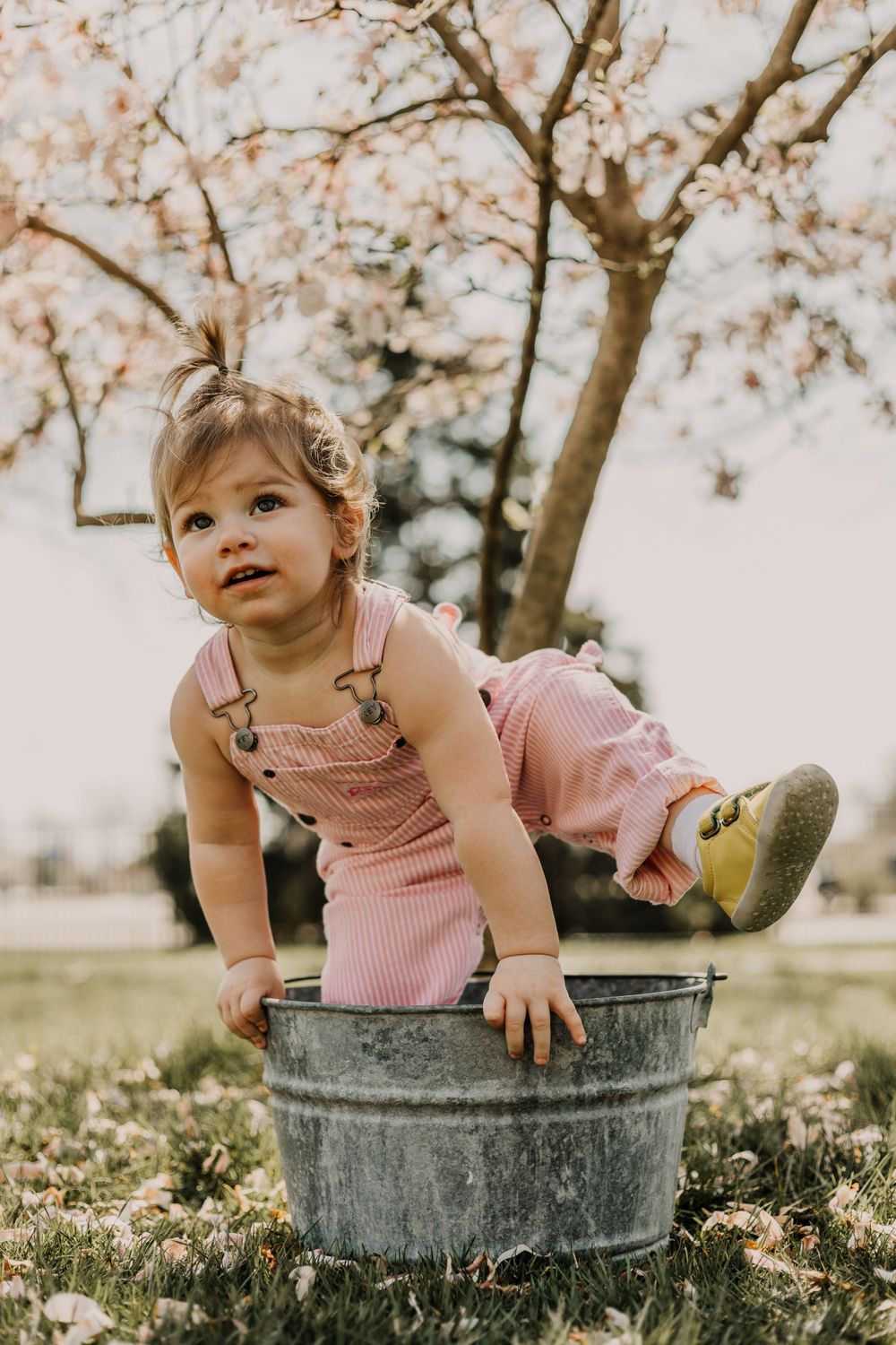 Family Photography, Children Portraits, Columbia Missouri Photographer, Mid-Missouri Photographer, Shelter Gardens