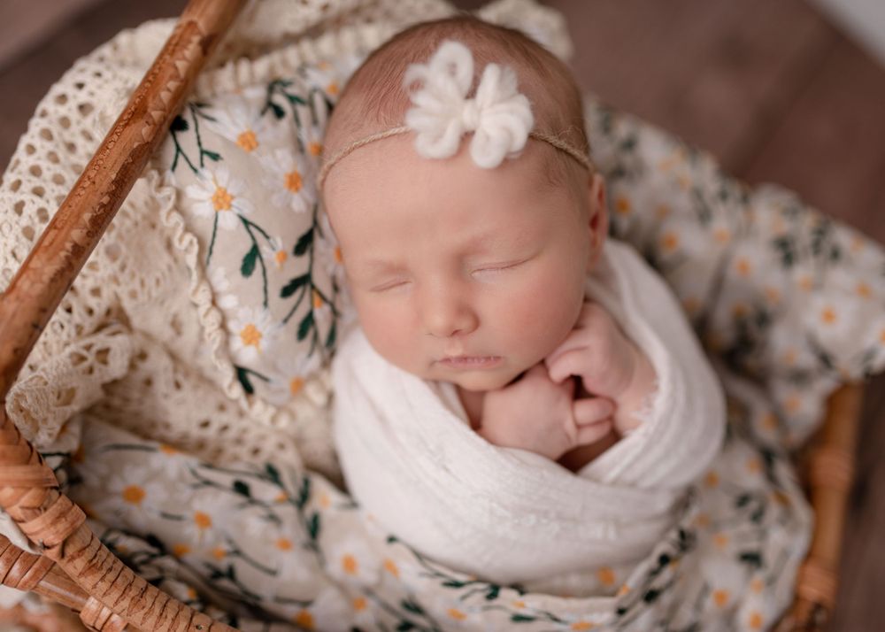hazelandbluphotography-newborn-session-hunterdon-nj
