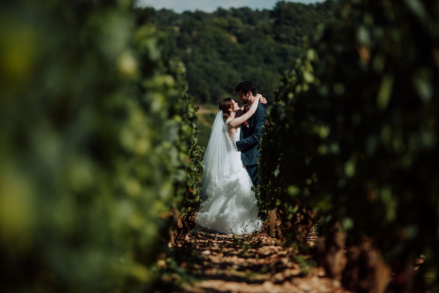 Romantic wedding couple embracing on a pathway through lush vineyard rows.