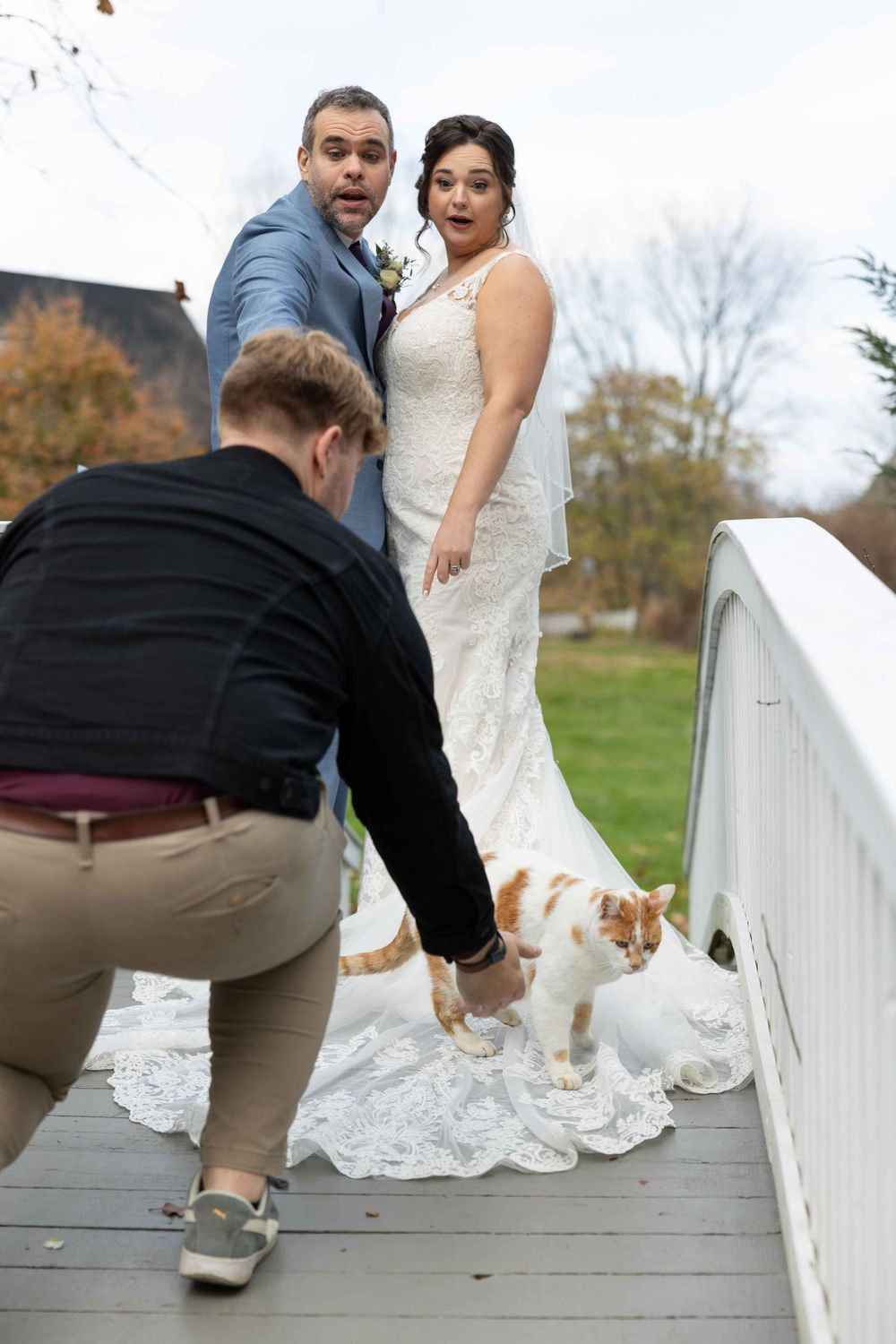 Wedding party on wooden bridge helping adjust the bride's long train dress while a dog watches.