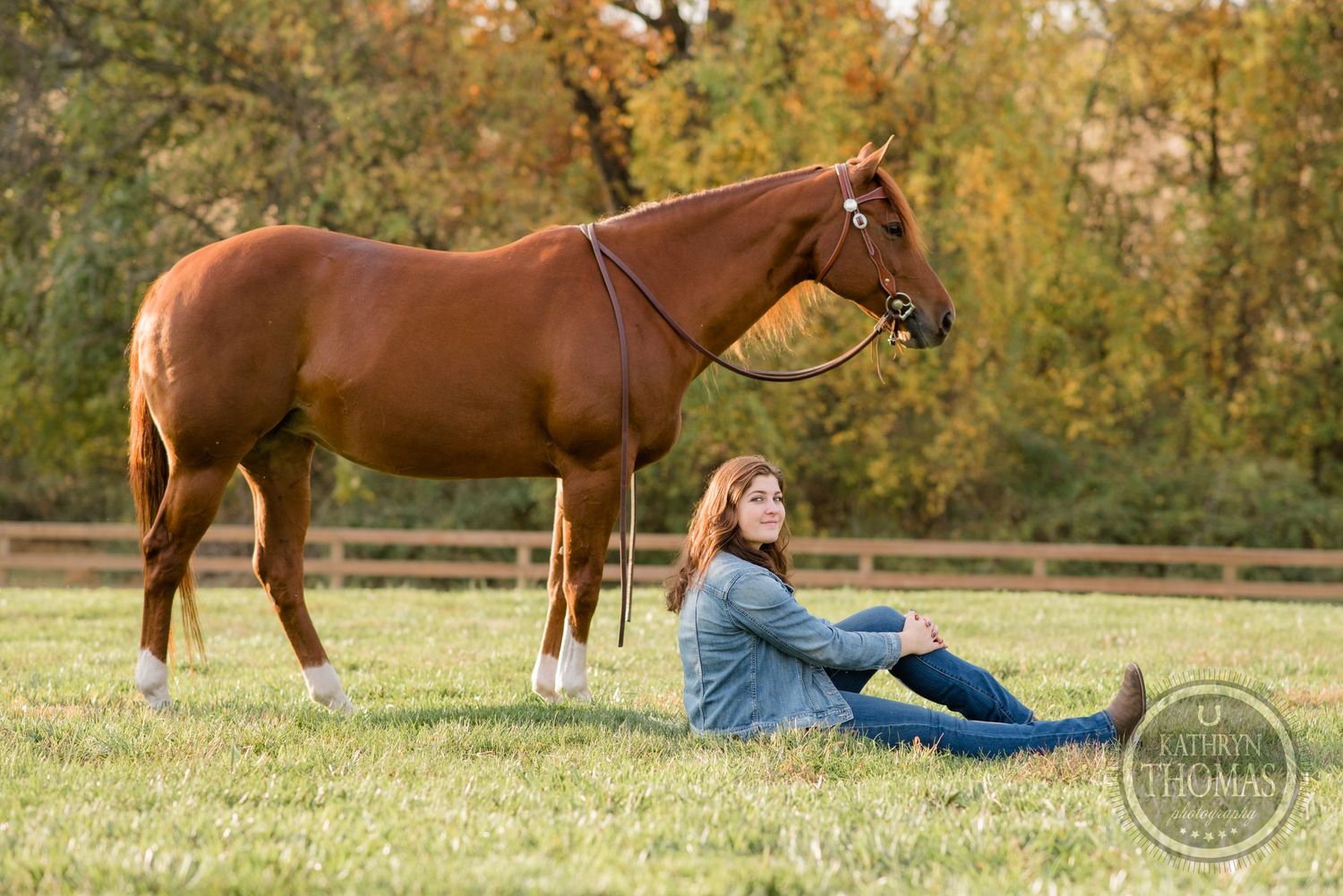 Relaxed autumn portrait with chestnut horse standing in field while companion sits on grass.