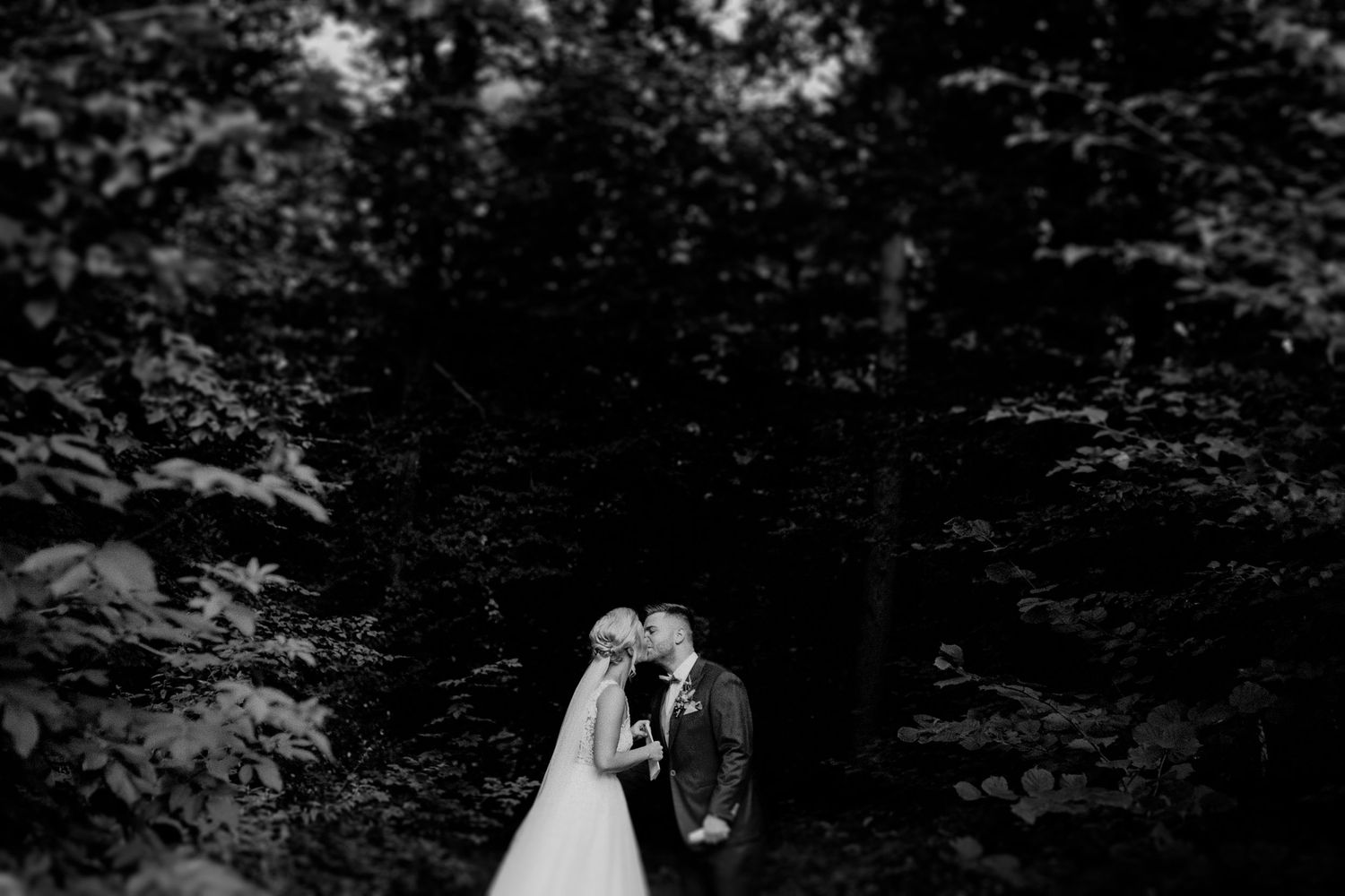 Hochzeitspaar in schwarz weiß küsst sich im Wald, Braut trägt weißes Brautkleid, Bräutigam trägt Anzug