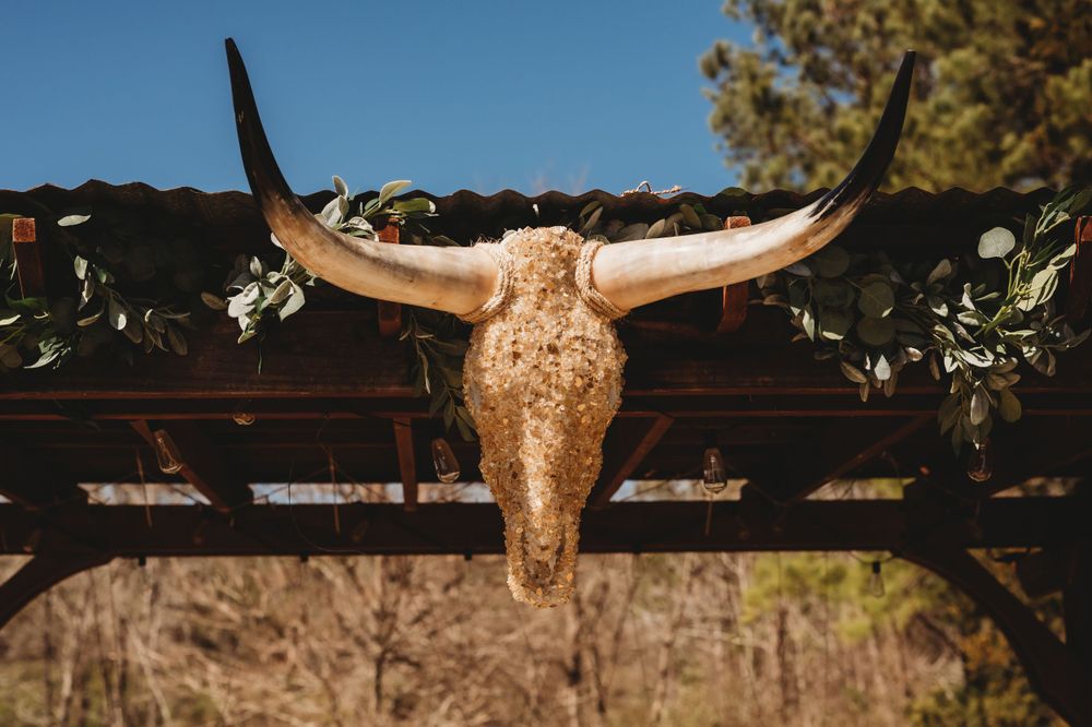 A gold-painted bull skull with long horns mounted on a dark wooden beam outdoors.