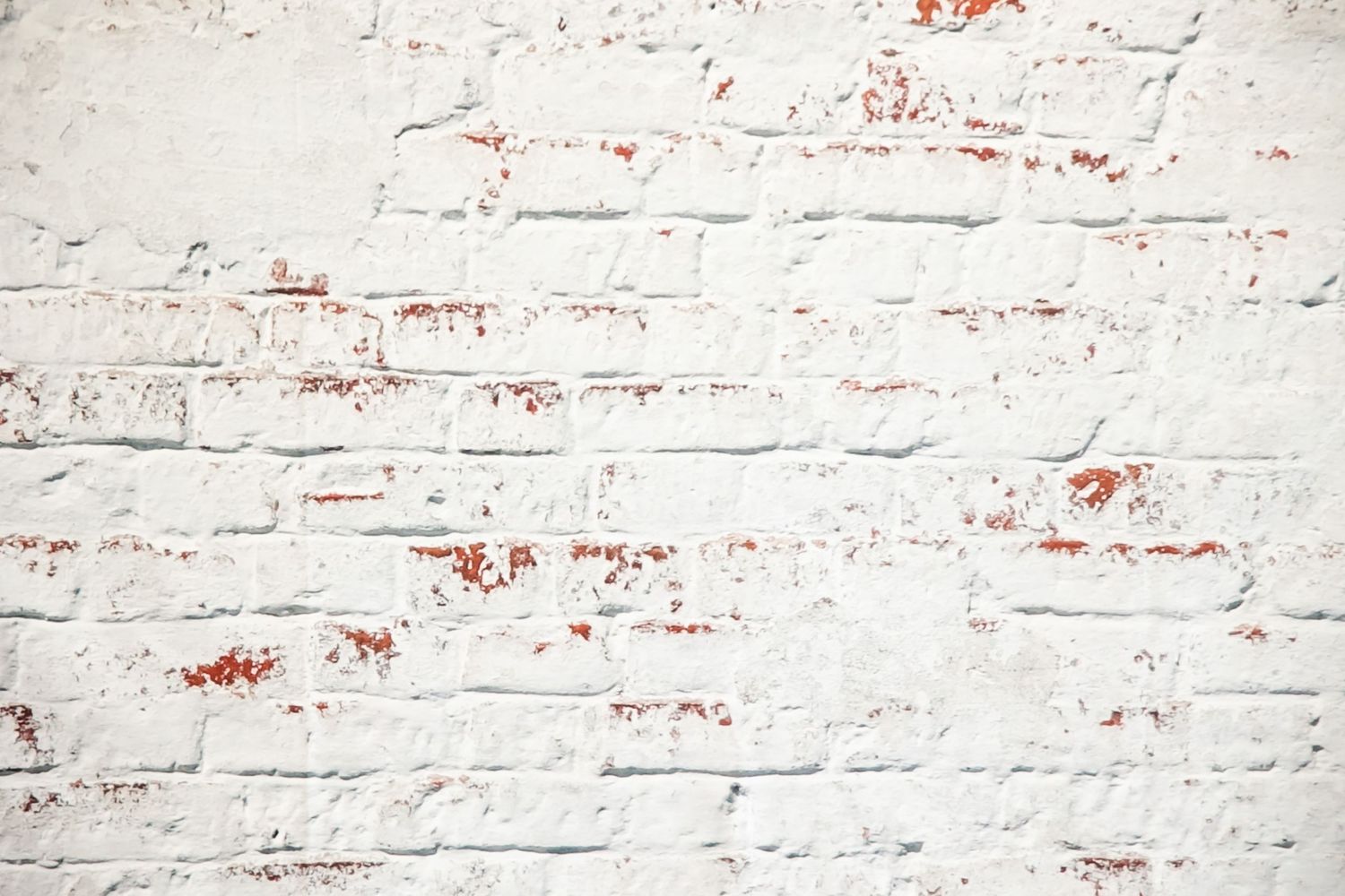 Distressed white brick wall with peeling paint shows hints of red underneath.