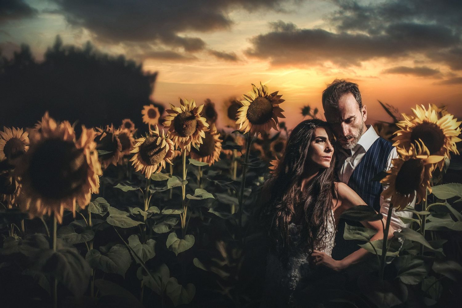 Romantic couple portrait in sunflower field during golden hour sunset.