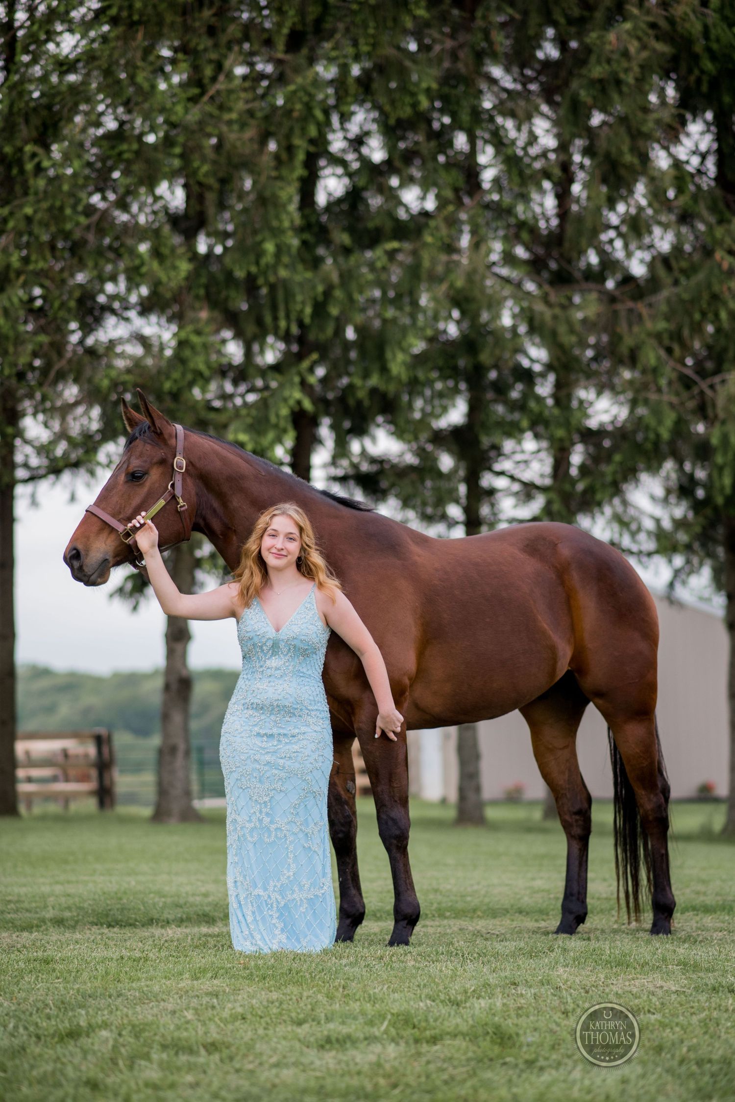 A majestic brown horse poses with someone in a fitted blue gown against a backdrop of trees.