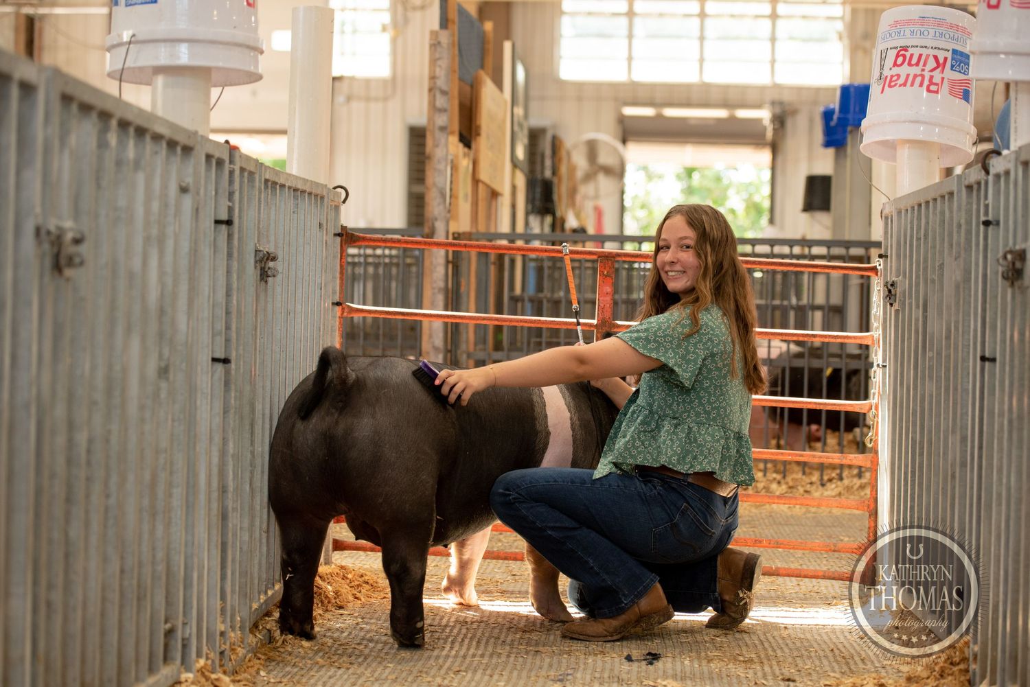 Someone in a green floral top petting a show pig in a barn stall.