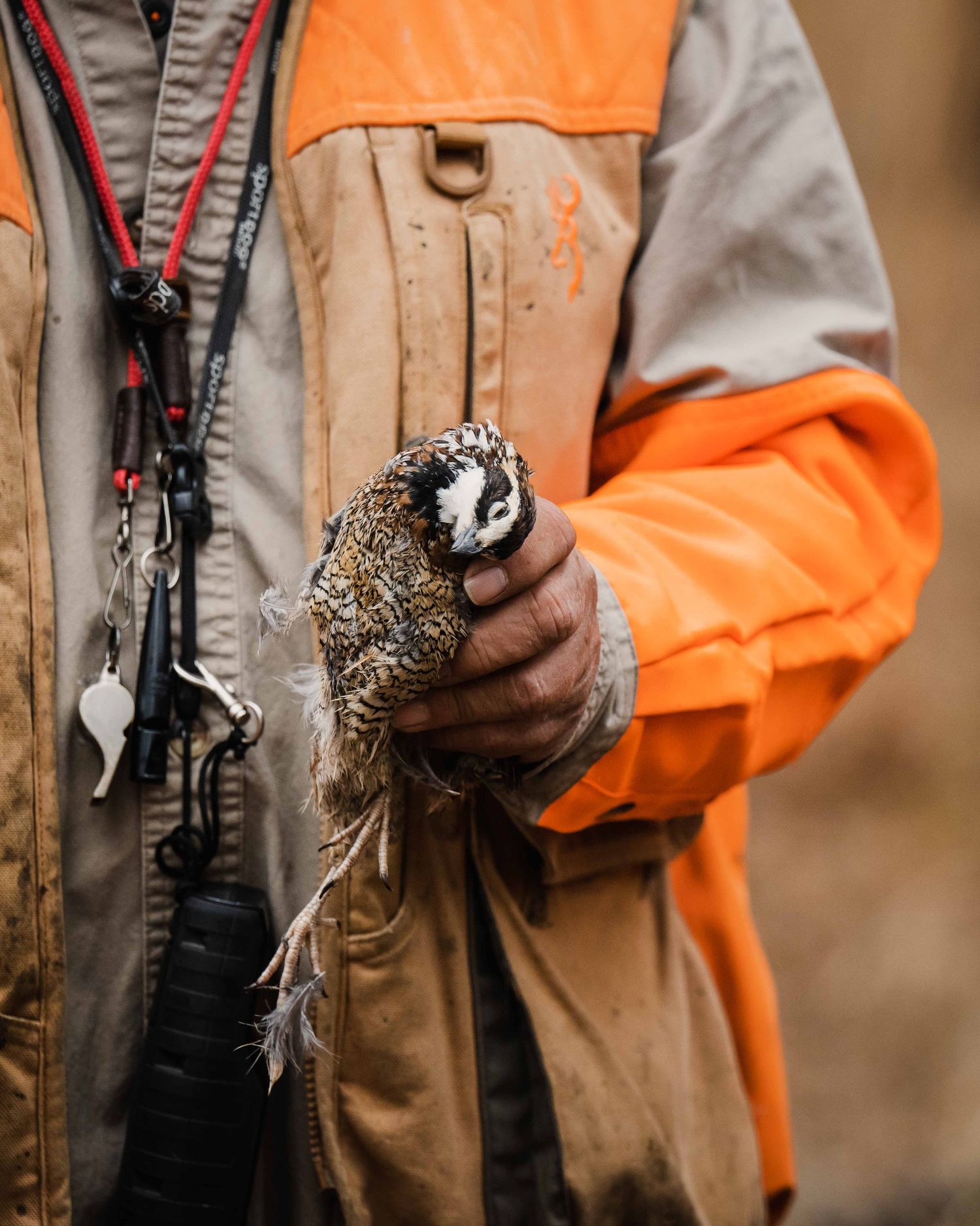 Hunter holding harvested game birds with hunting gear and orange safety vest.