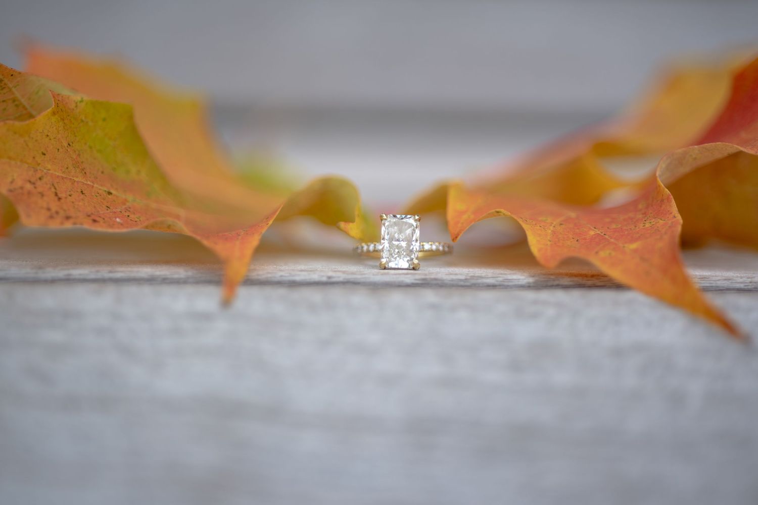 Engagement Session