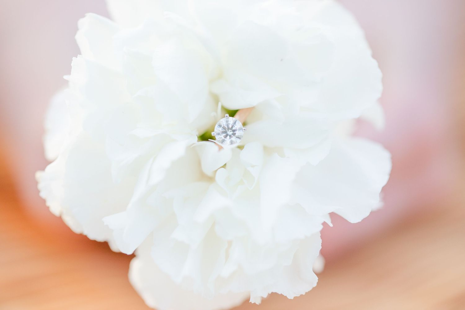 Delicate white carnation flowers in soft focus creating a romantic backdrop.