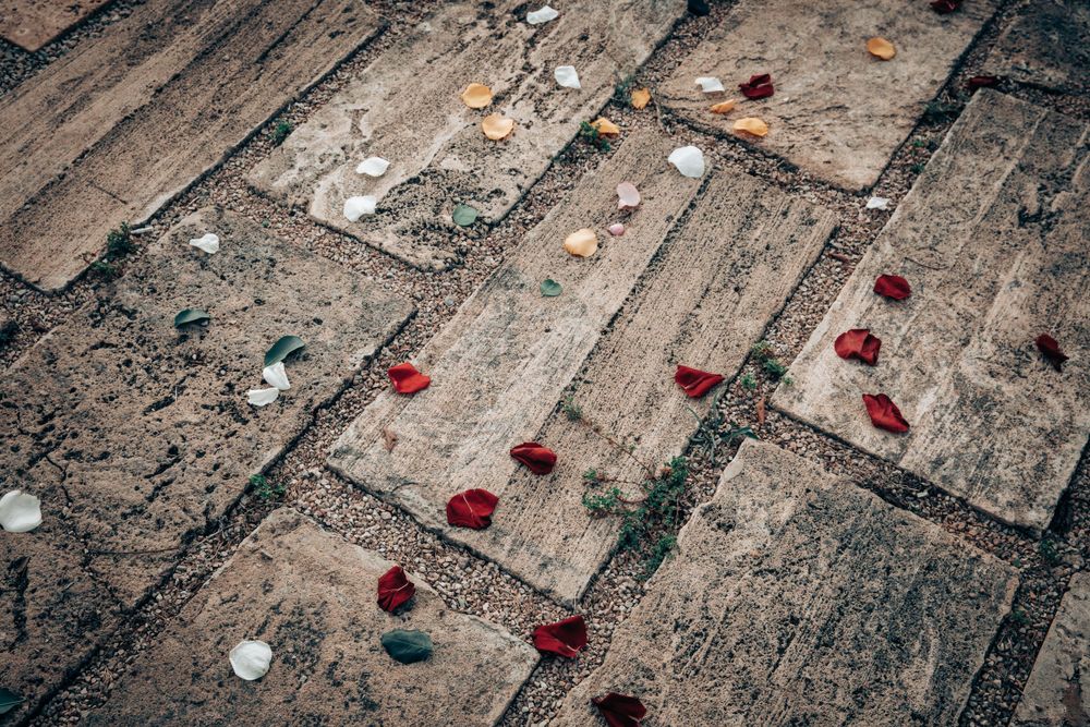 Romantic red and white rose petals scattered on stone pavers after an intimate wedding ceremony in Mallorca.