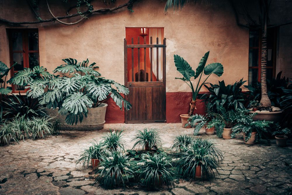 Backyard of Luxury Finca Can Ribera in Fornalutx, Mallorca photographed during a micro wedding