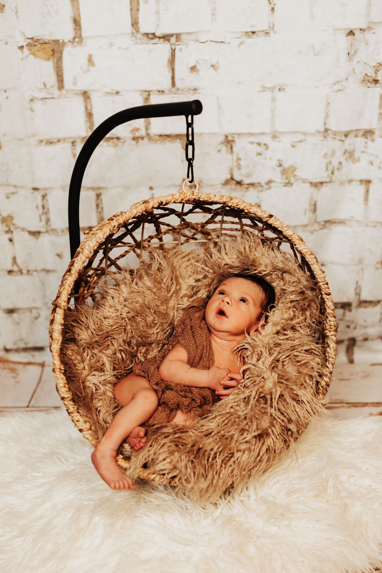 studio bound and branch buffalo photographer