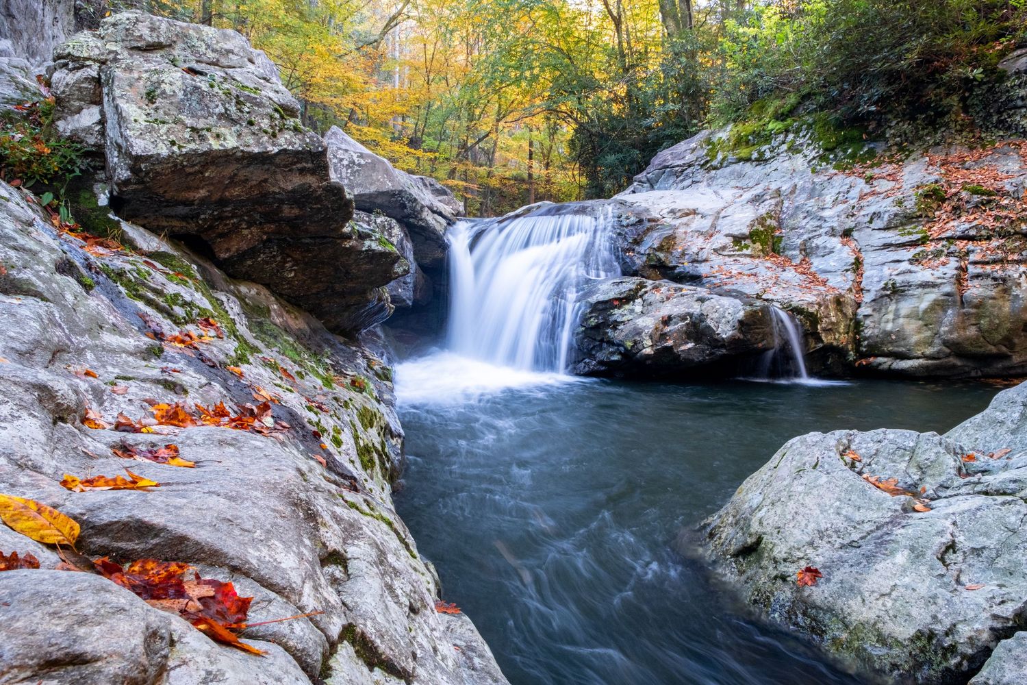 Waterfall in a woods with fall colors
