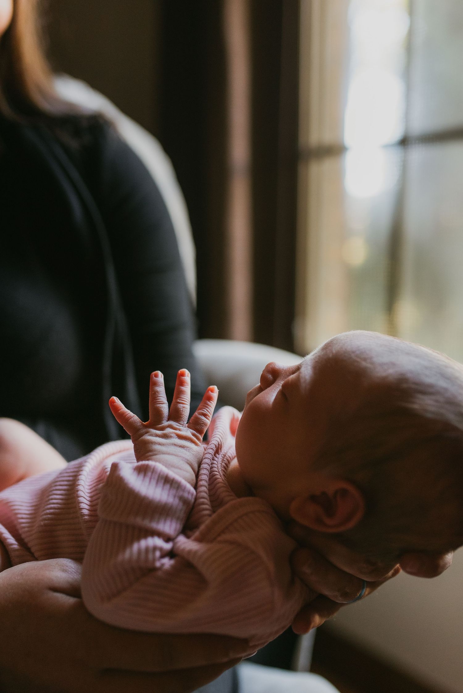 knoxville newborn photographer