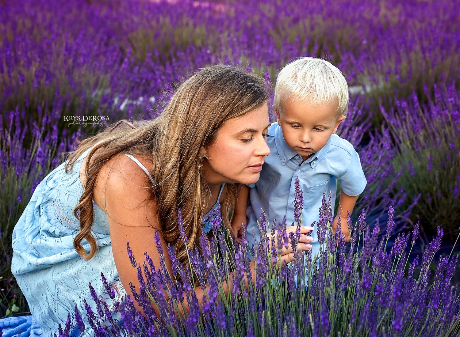 Two people examining lavender flowers together in purple field.