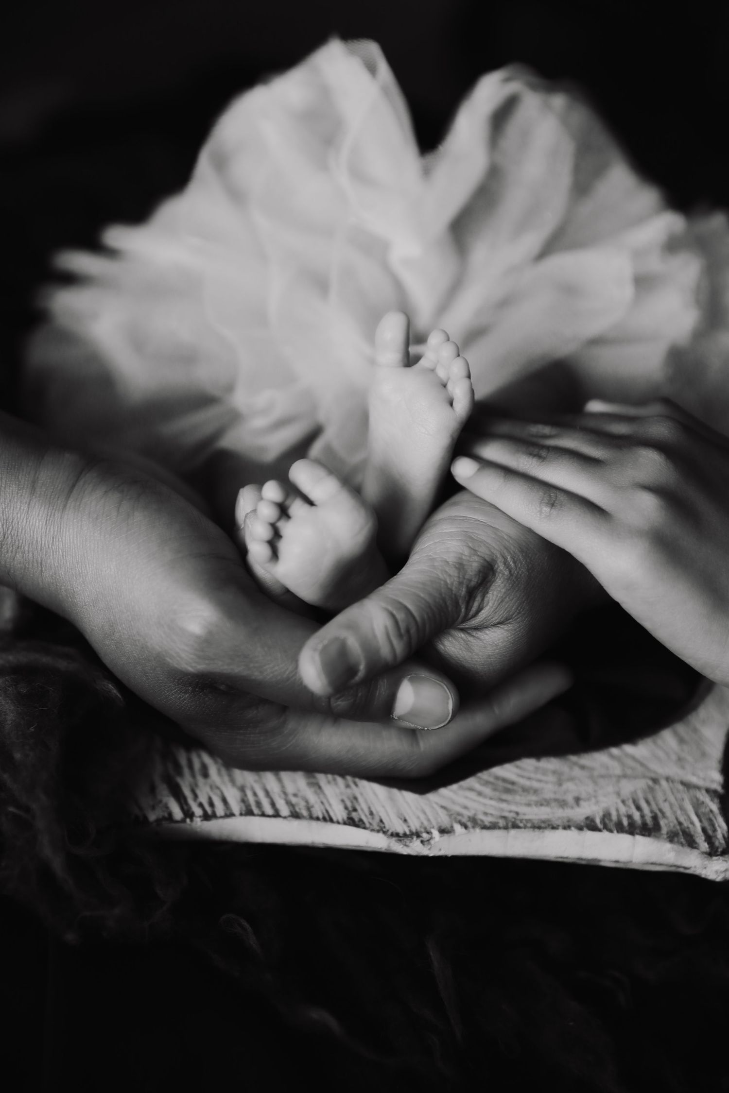 Black and white image of tiny baby feet resting in caring hands.