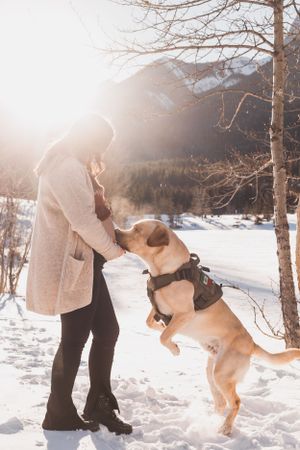 YYC  Maternity Newborn Families Couples Engagement Elopement Weddings Han Hansen Photography