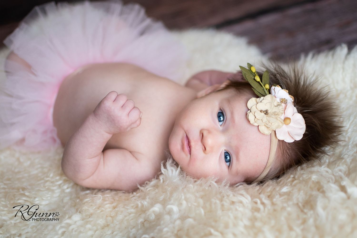 lifestyle newborn photography tulsa oklahoma