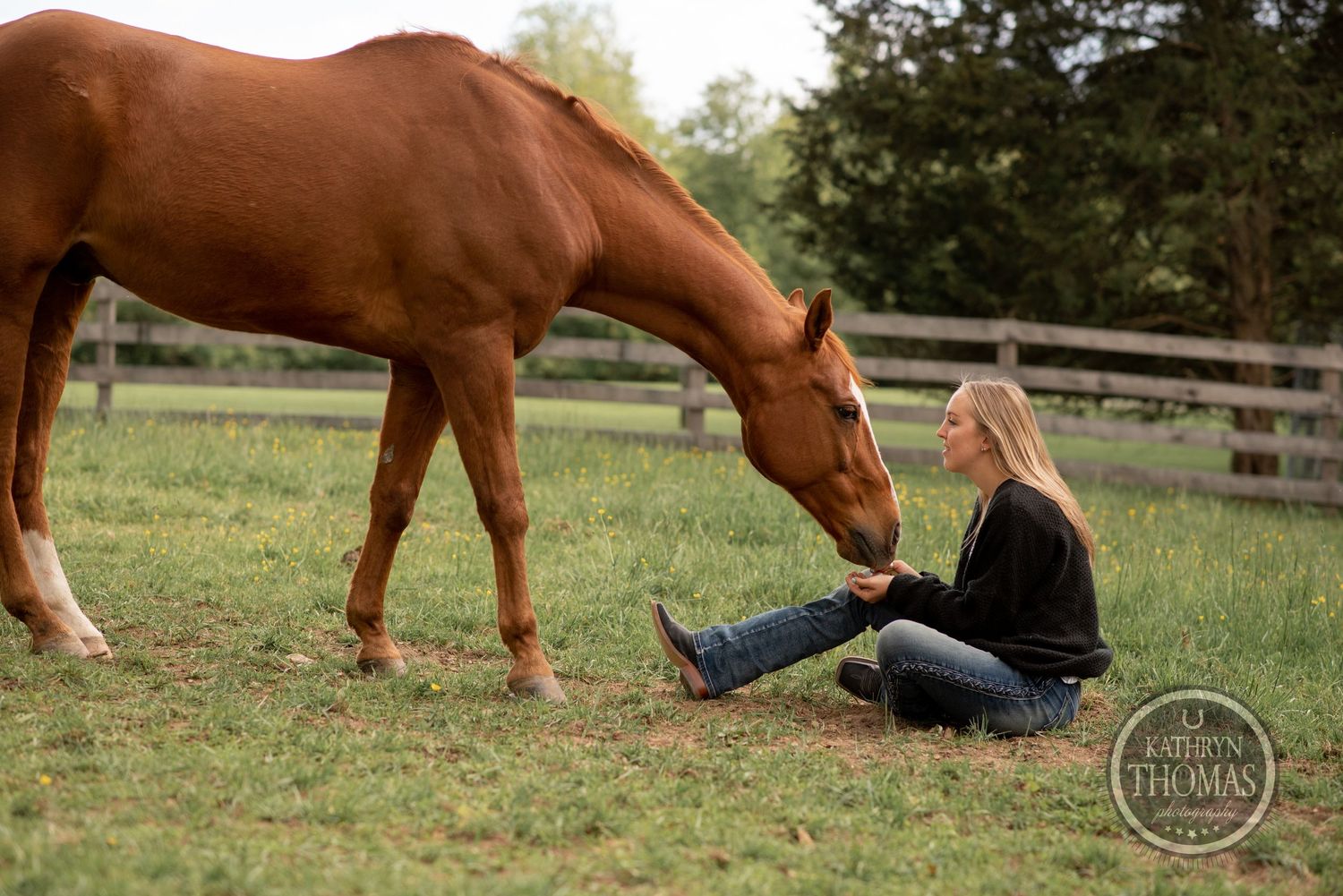 A chestnut horse bends down to greet companion sitting in grass near wooden fence.