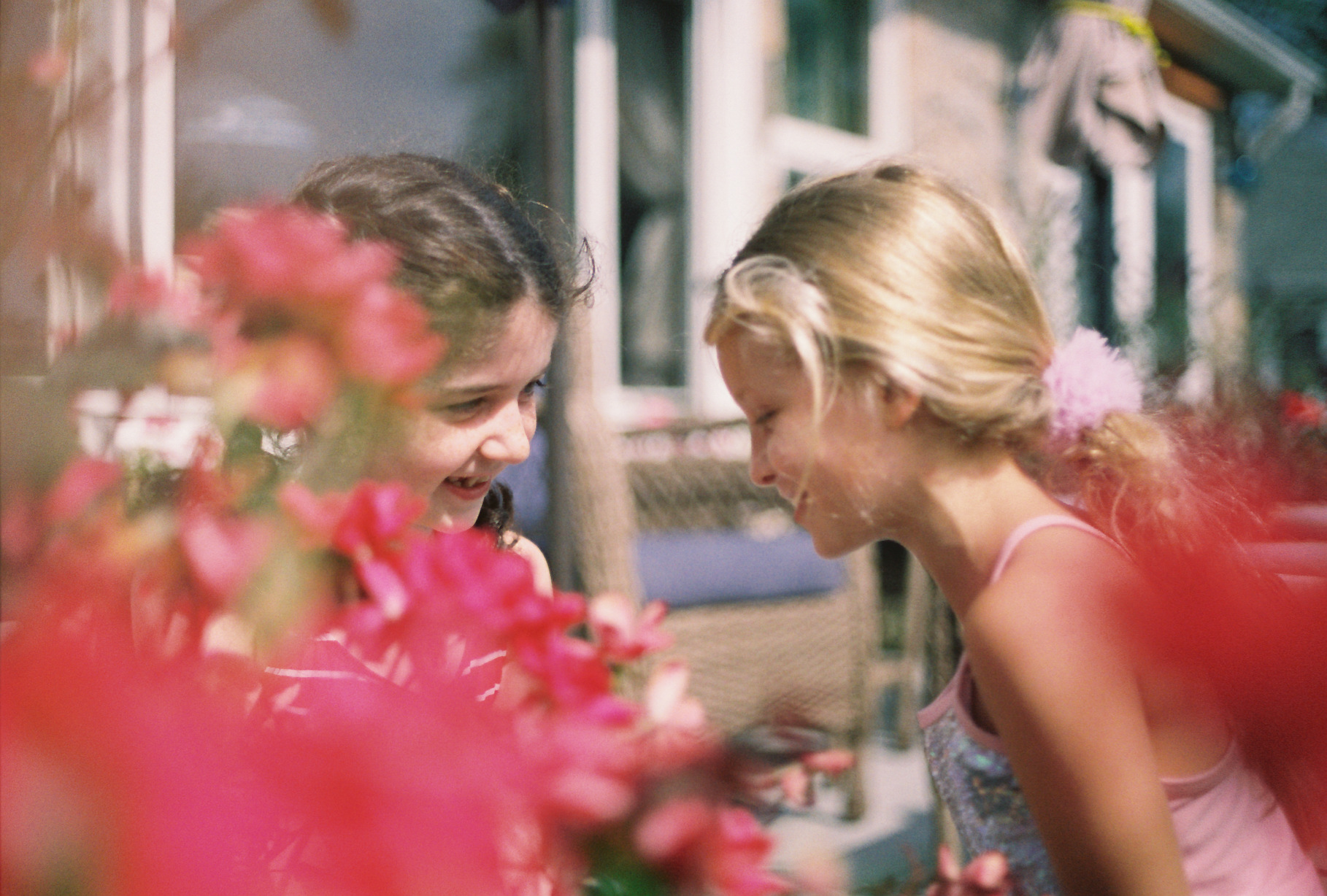 Two girls chat behind blurred pink flowers during a film photography session