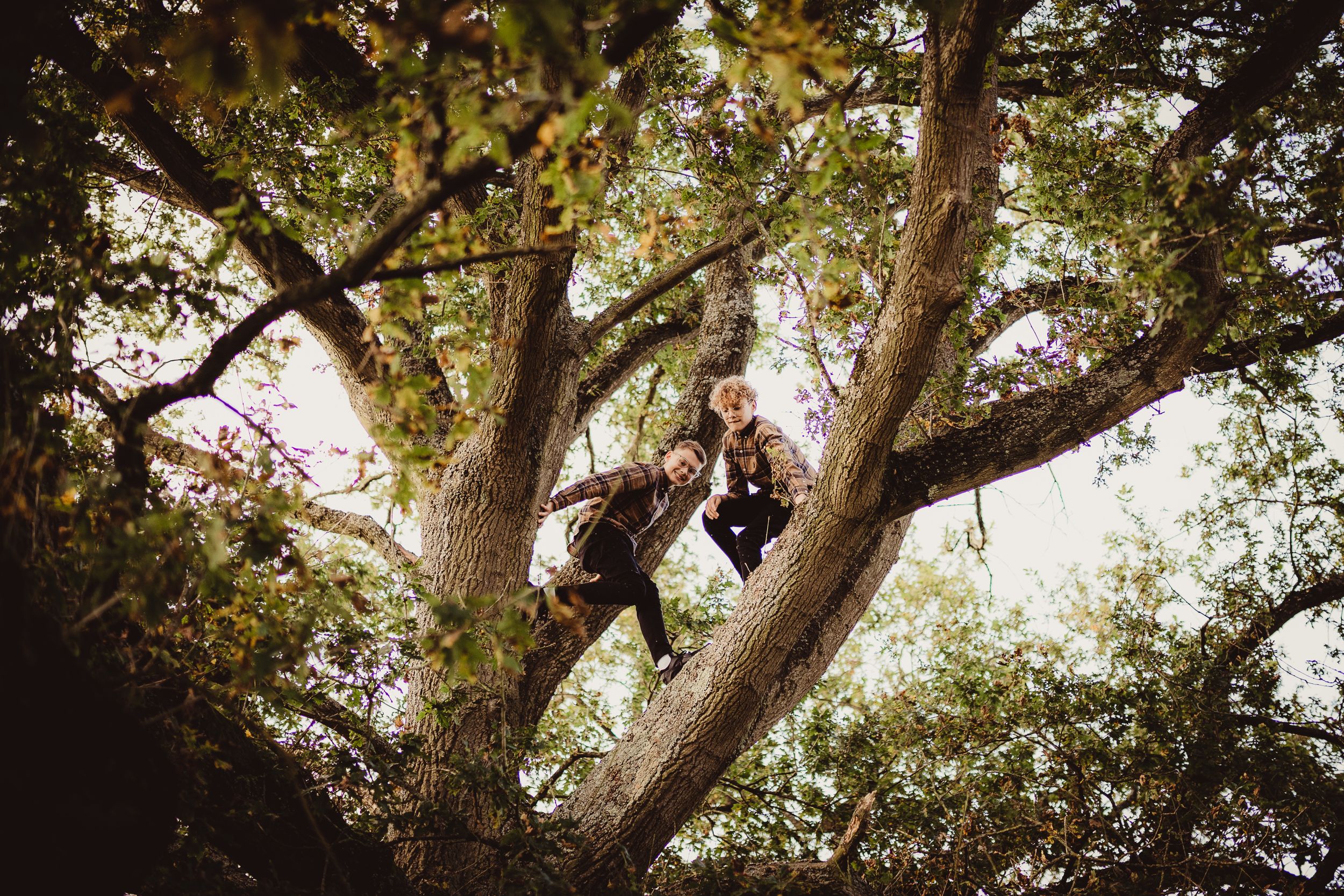 Bishops Stortford family photographer, Hertfordshire, twin brothers, teenage boys climbing a tree, family photo