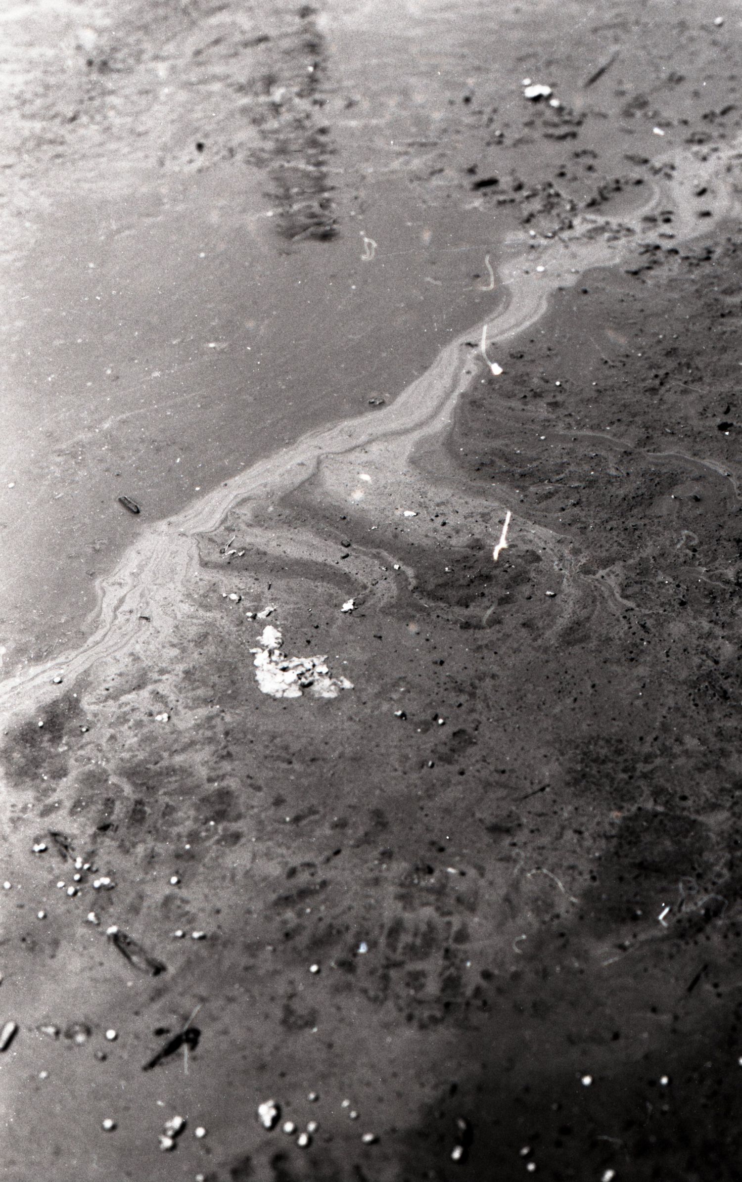 wasteland project