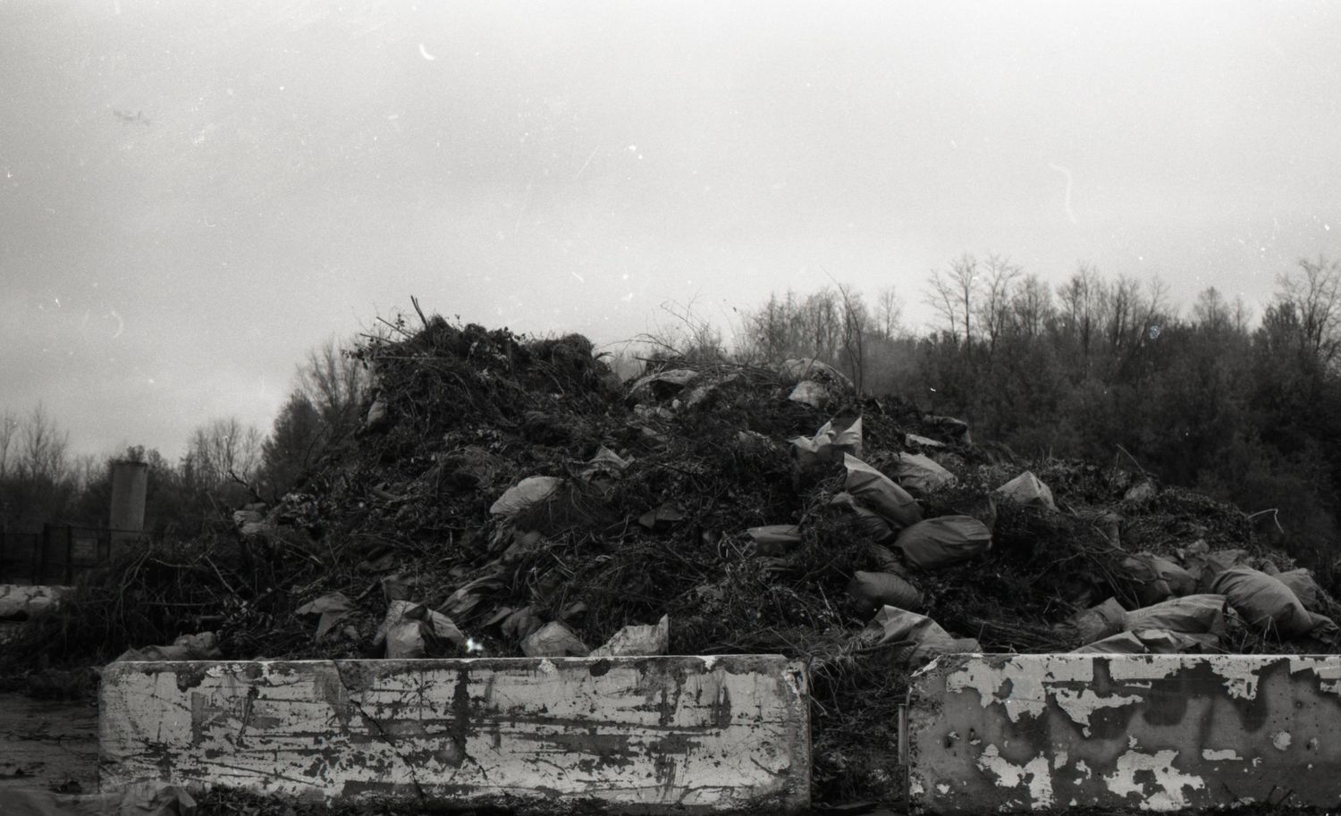 wasteland project
