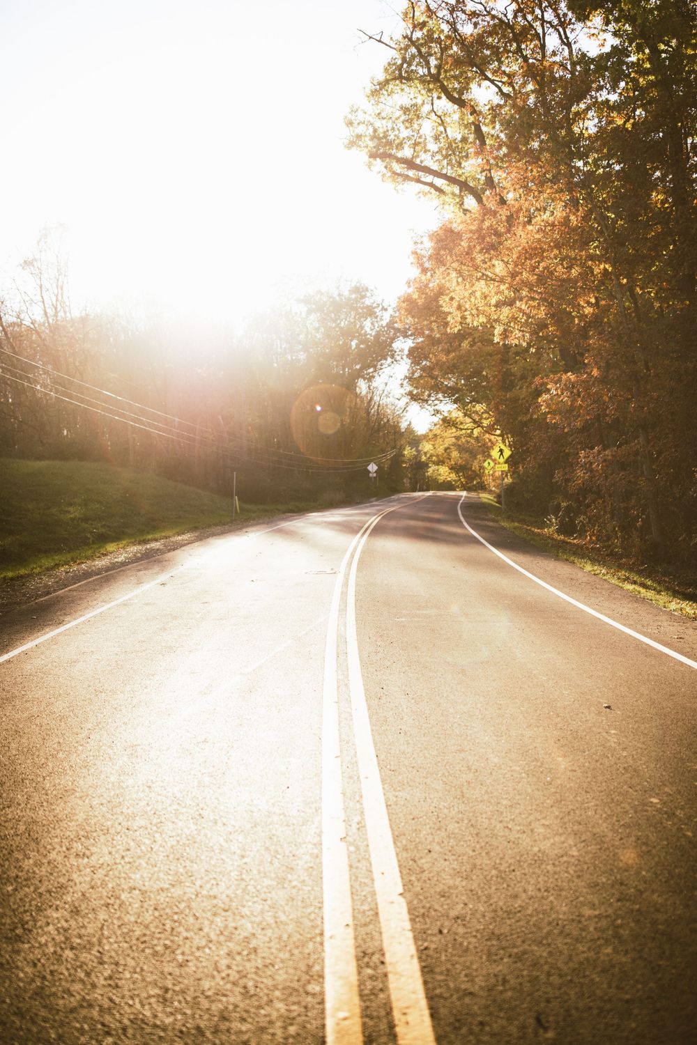 Sunlit winding road through autumn trees with golden light.
