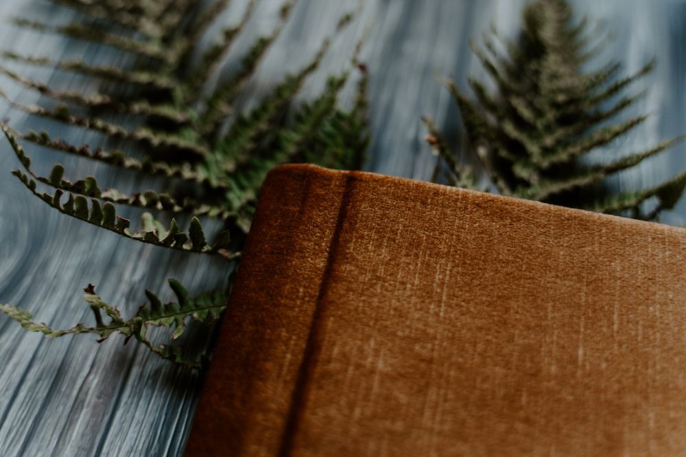 a close up image of a velvet covered album.
