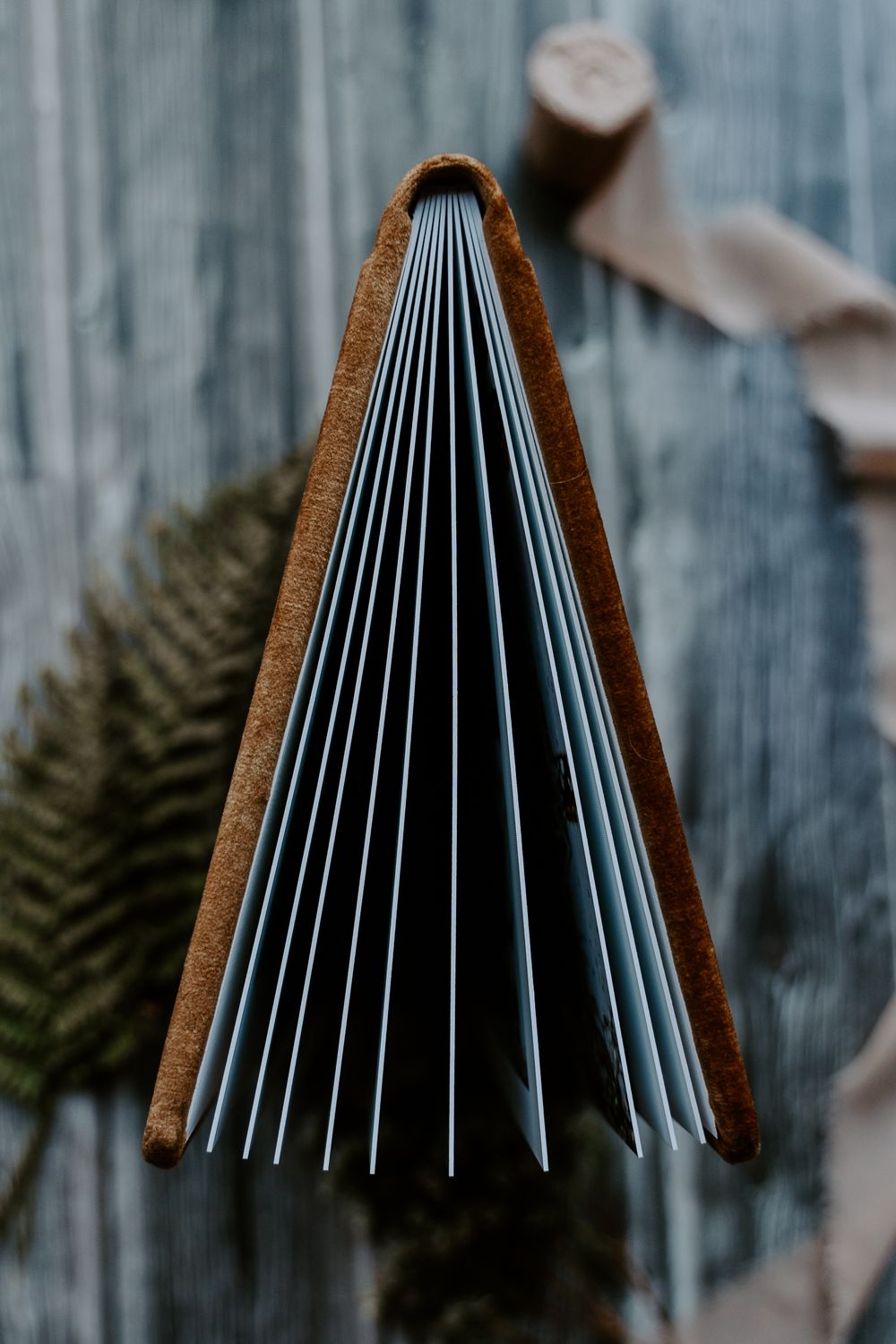 a close up image of a centre fold spread in an album.