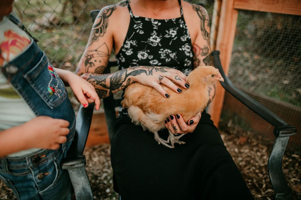 non-binary parent holds chicken in lap during family session portland oregon documentary photographer