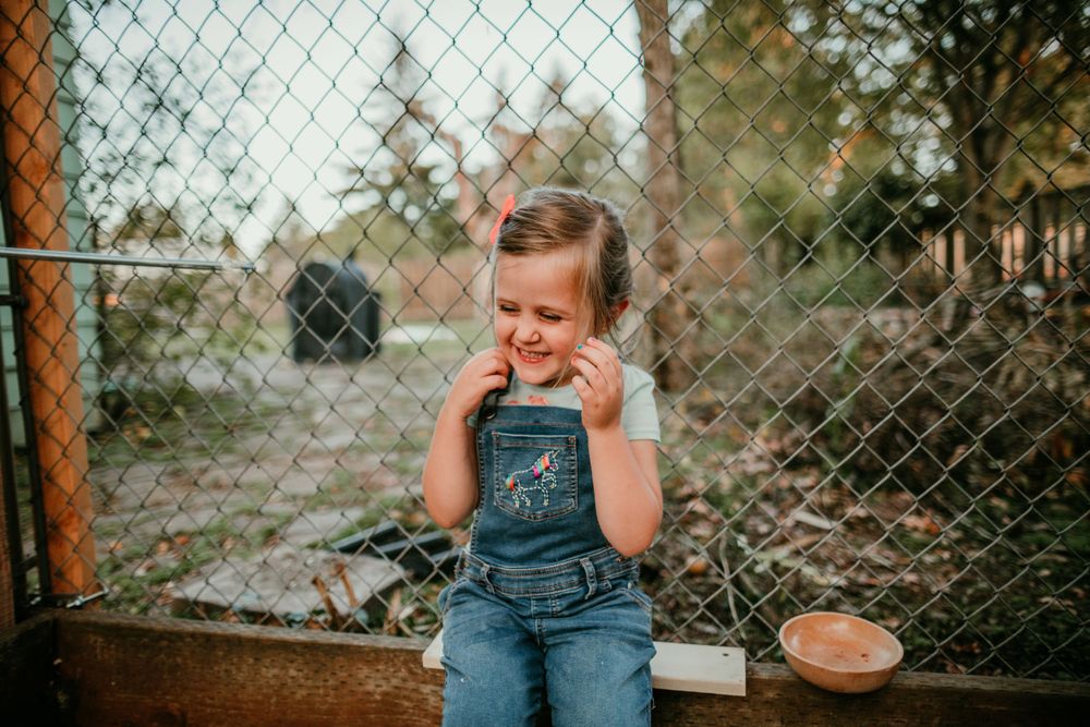 child laughs in chicken coop in-home family photography session portland oregon