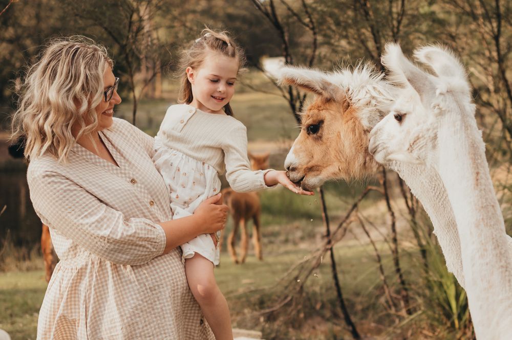 Llama Family Photoshoot